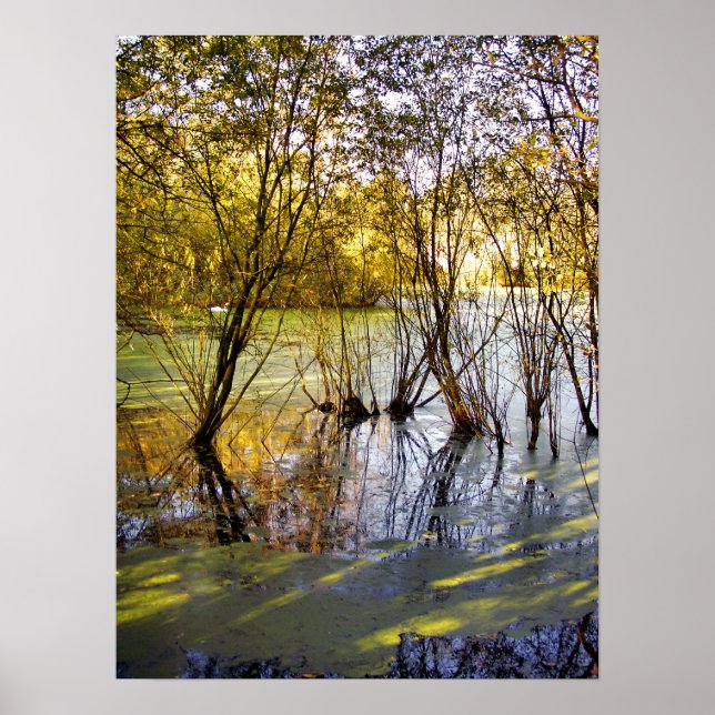 LAKES POSTER (Front)