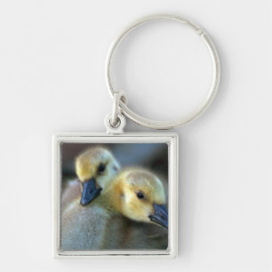 Lakeside Key Ring
