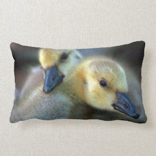 Lakeside Lumbar Cushion