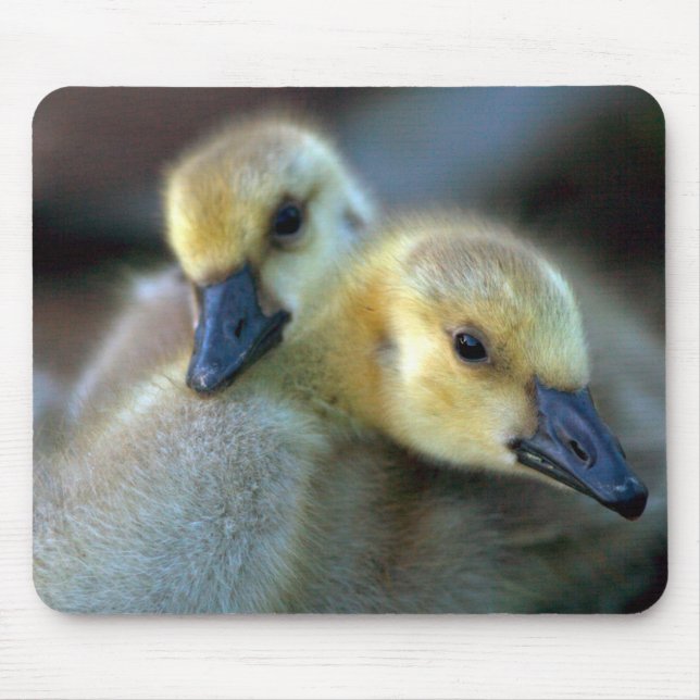 Lakeside Mouse Pad (Front)