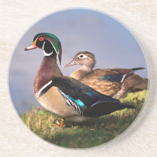 Lakeside, Wood Duck Coaster