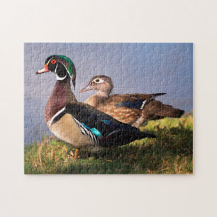 Lakeside, Wood Duck Jigsaw Puzzle