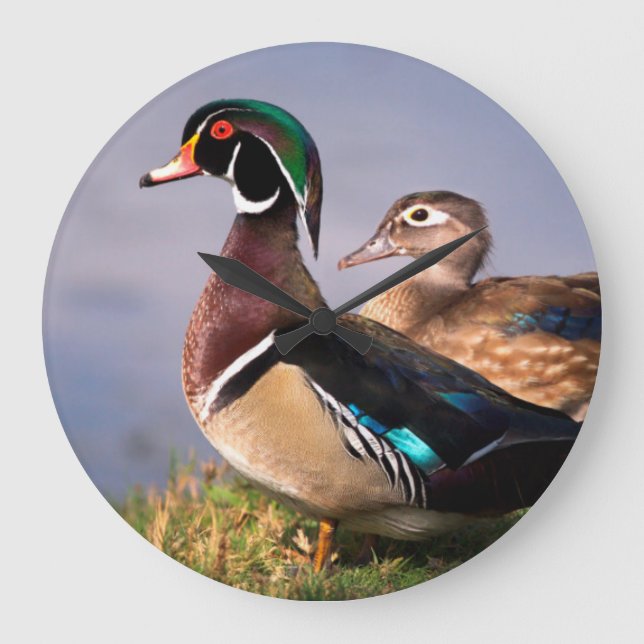 Lakeside, Wood Duck Large Clock (Front)