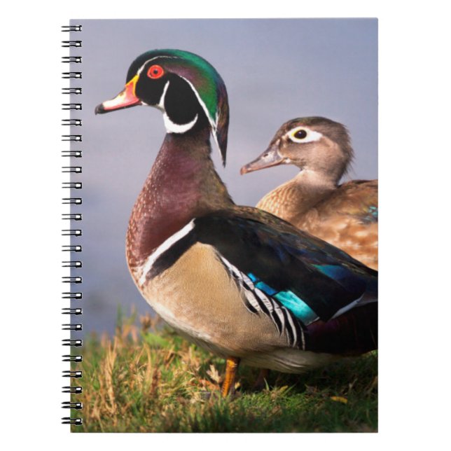 Lakeside, Wood Duck Notebook (Front)