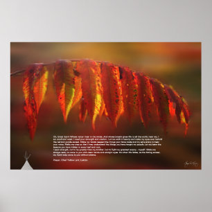 Lakota Prayer Poster