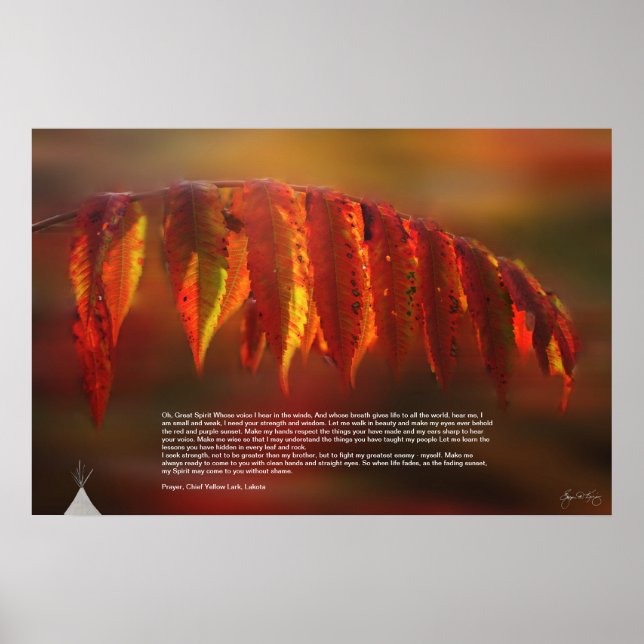 Lakota Prayer Poster (Front)