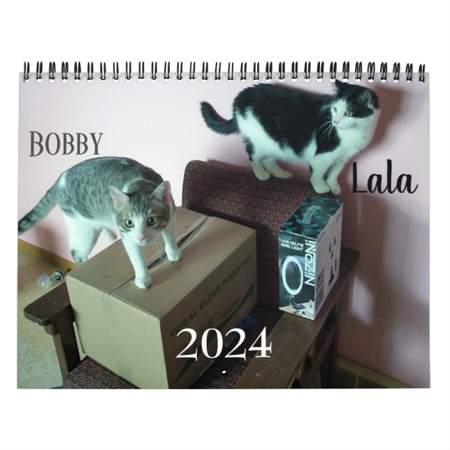 Lala & Bobby Personalised Cat Calendar 2024 (Cover)