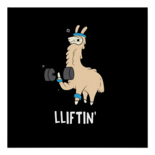 Lama in the gym - lifting weights poster
