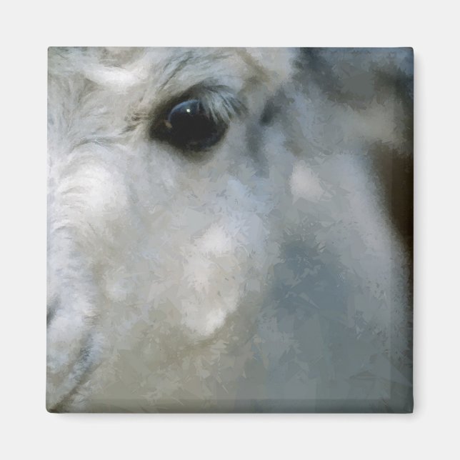 Lama Magnet (Front)