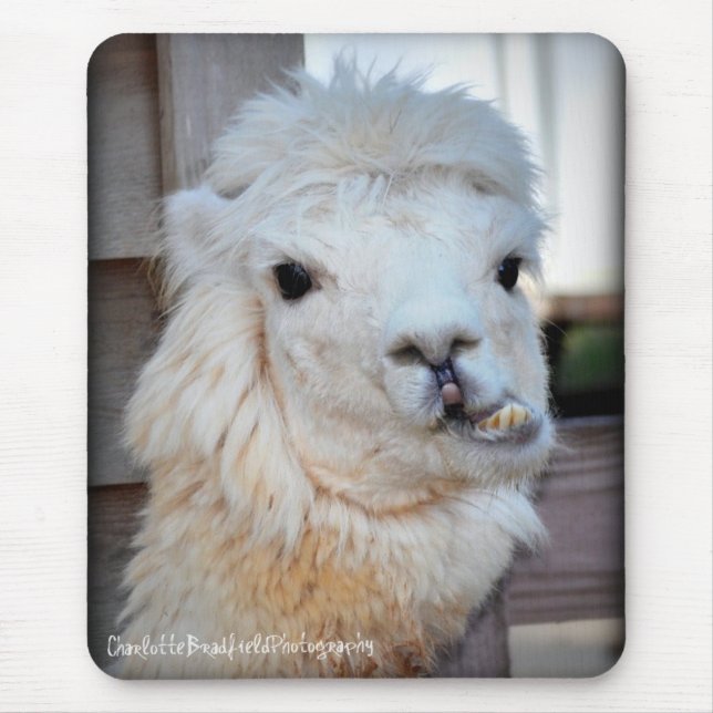Lama Mousepad (Front)