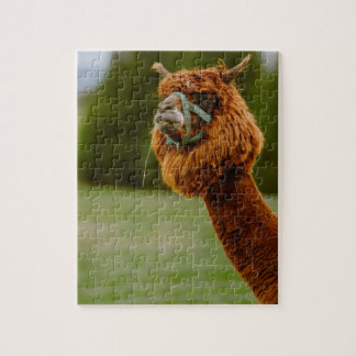 Lama Puzzle