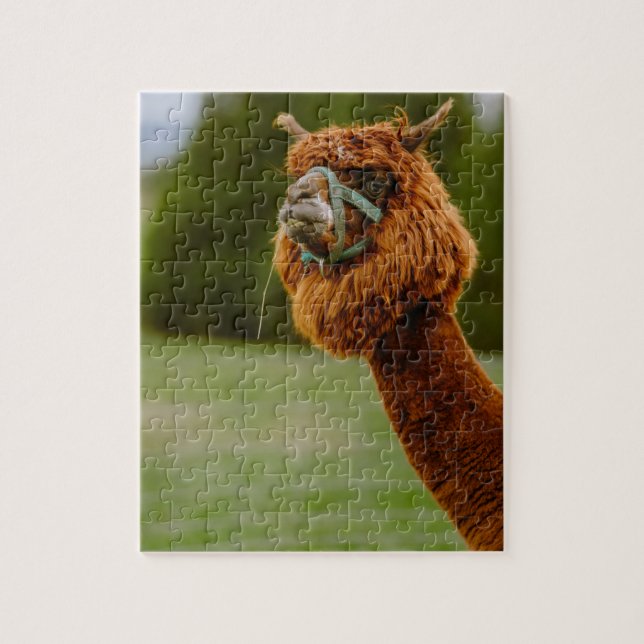 Lama Puzzle (Vertical)