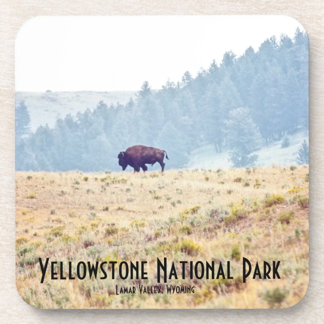 Lamar Coaster (Front)