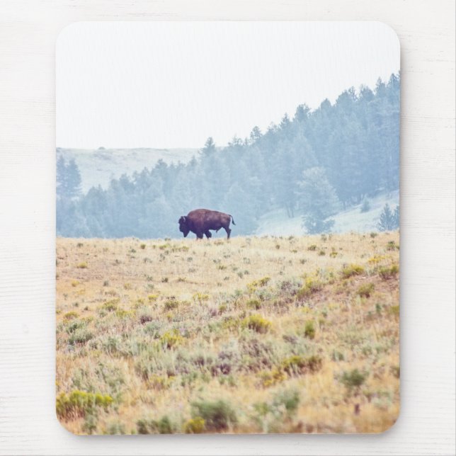 Lamar Mouse Pad (Front)