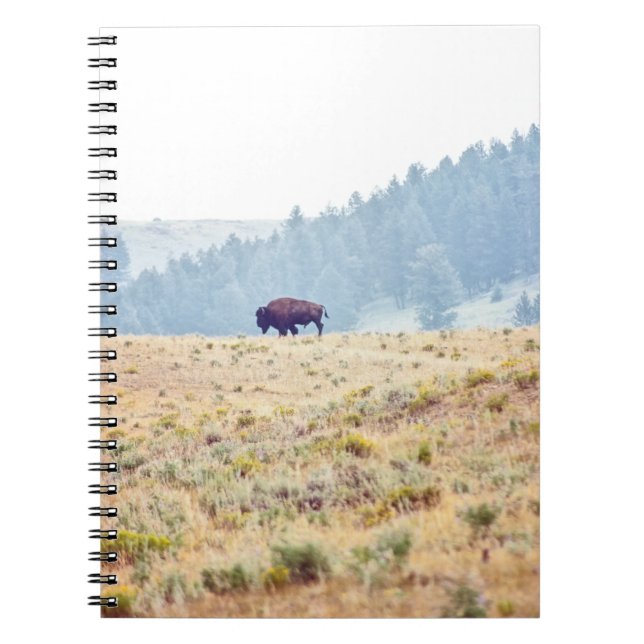 Lamar Notebook (Front)