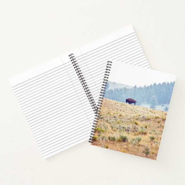 Lamar Notebook (Inside)