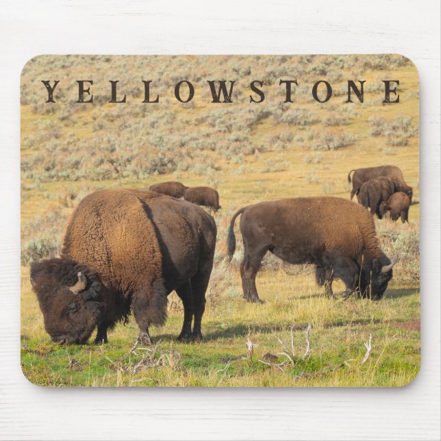 Lamar Valley Bison Yellowstone National Park Mouse Pad (Front)