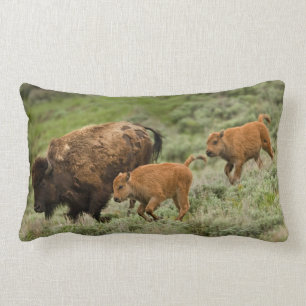 Lamar Valley Mini Stampede Lumbar Cushion