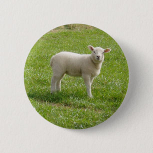 Lamb 6 Cm Round Badge