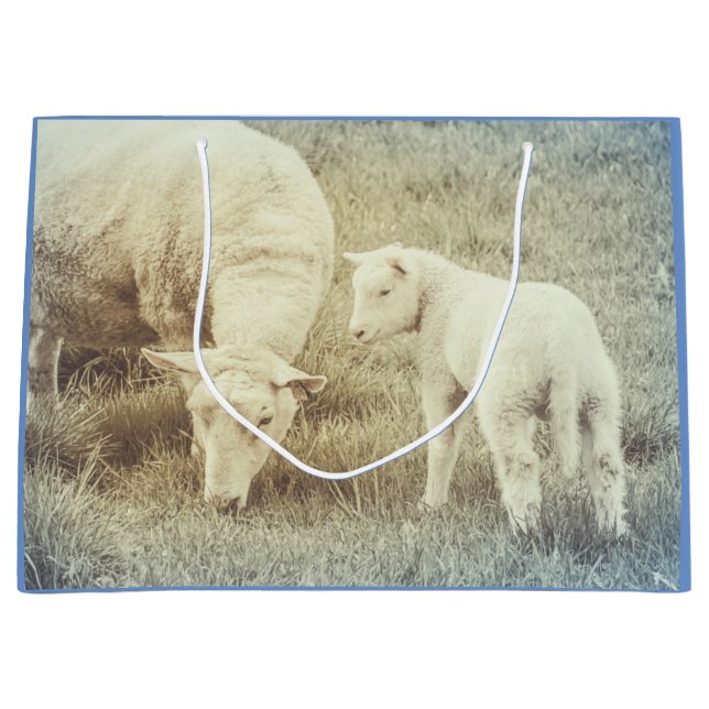 Lamb Baby Animals Sheep Large Gift Bag (Front)