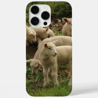 Lamb  iPhone 16 pro max case