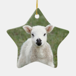 Lamb Ceramic Tree Decoration