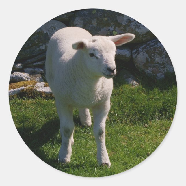 Lamb Classic Round Sticker (Front)
