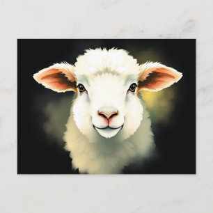 Lamb Face with Abstract Strokes  Postcard