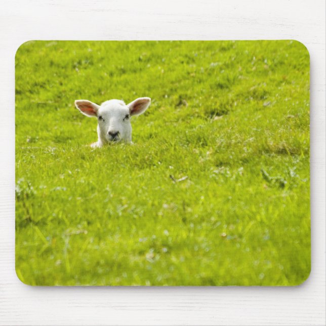 lamb in a dip mouse pad (Front)