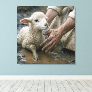 Lamb In Mud Rescued By a Shepherd Canvas Print