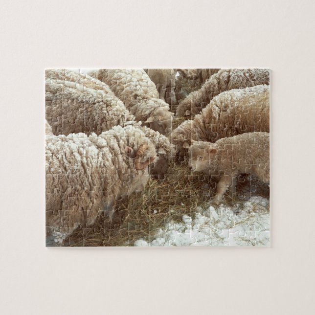 Lamb Jigsaw Puzzle (Horizontal)