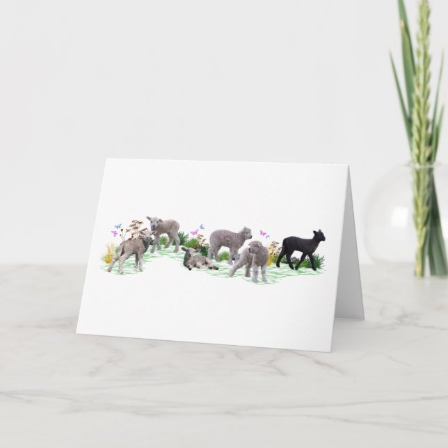 Lamb Meadow Card (Front)
