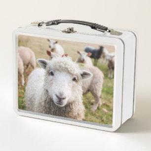 Lamb Metal Lunch Box