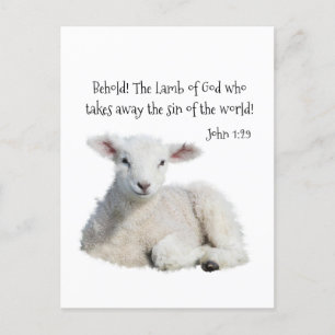 Lamb of God Postcard