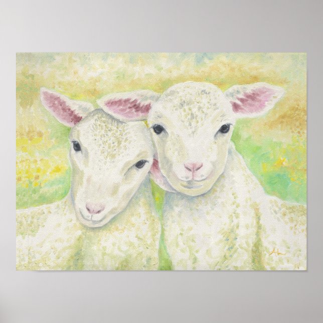 Lamb Pair Poster (Front)