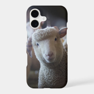 Lamb Paused iPhone 8/7 Case