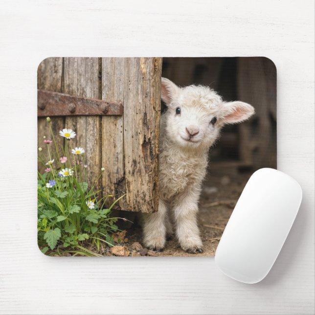 Lamb Peeking Around a Barn Door Mouse Pad (With Mouse)
