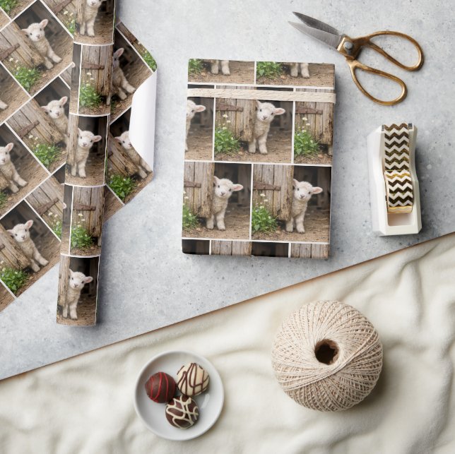 Lamb Peeking Around a Barn Door Wrapping Paper (Crafts)