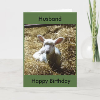 Lamb Sheep Birthday Card Personalize Birthday etc