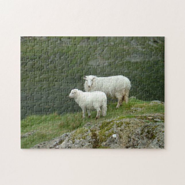 Lamb & Sheep - Scottland/ British Countryside Jigsaw Puzzle (Horizontal)