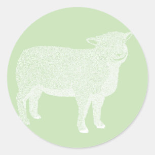 Lamb Sheep Sticker