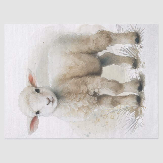 Lamb Sheep Watercolor Tissue Paper (Front)