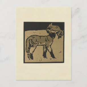 Lamb - Square Animals Illustration Postcard