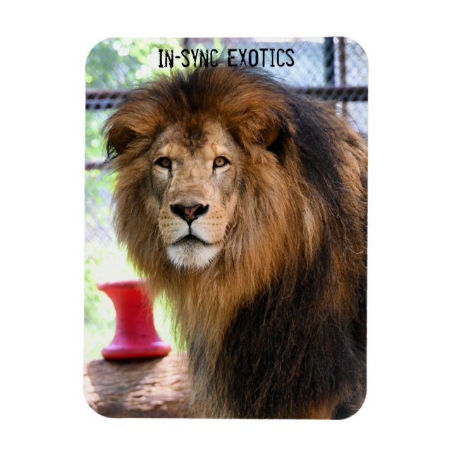 Lamber - magnet (Vertical)