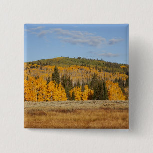 Lambert Hollow, aspen trees 15 Cm Square Badge