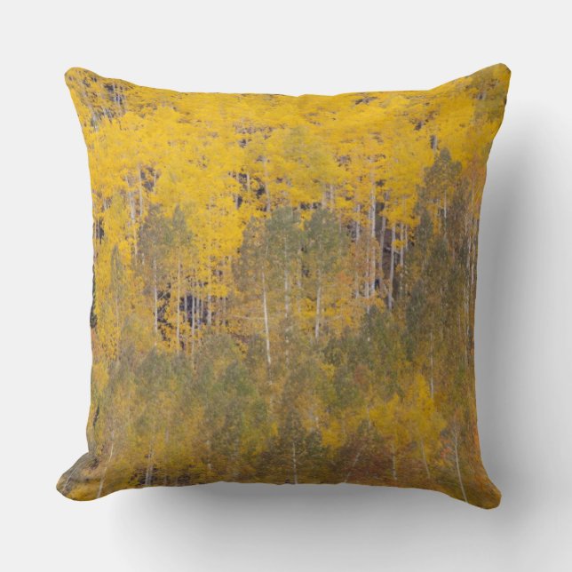 Lambert Hollow, aspen trees 2 Cushion (Front)