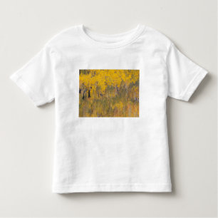 Lambert Hollow, aspen trees 2 Toddler T-Shirt