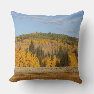 Lambert Hollow, aspen trees Cushion