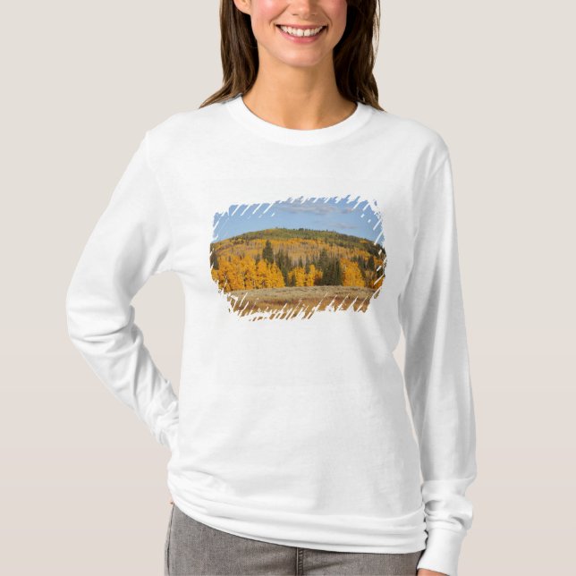 Lambert Hollow, aspen trees T-Shirt (Front)