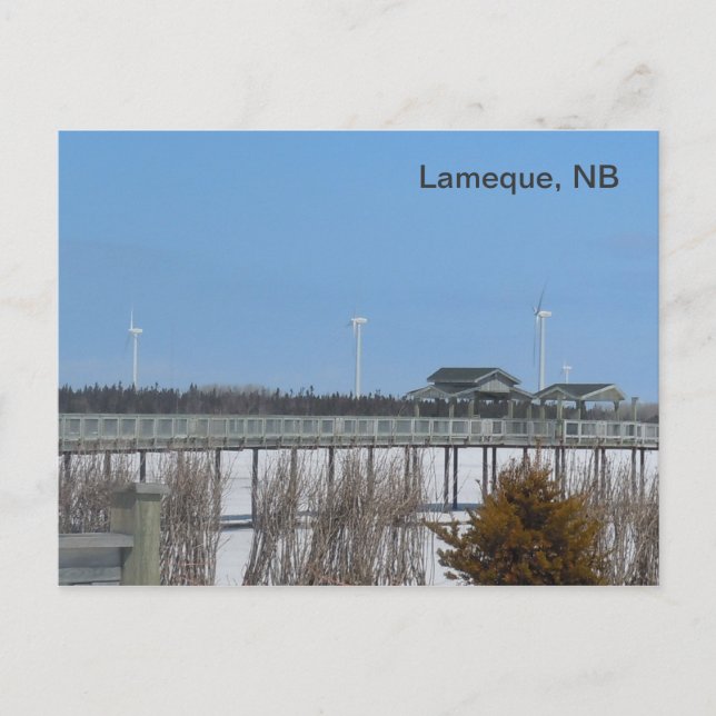 Lameque Wind Turbines Postcard (Front)